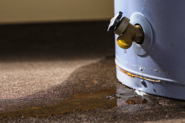  Babbitt, MN Water damage restoration Pros