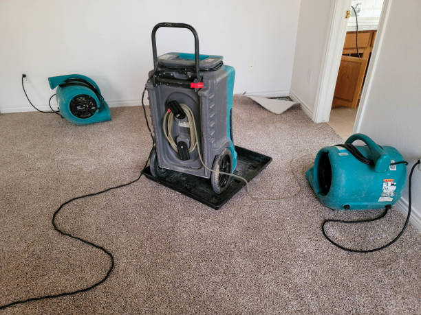 Best Flood restoration services  in Babbitt, MN