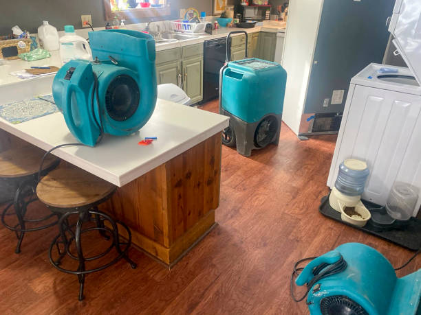 Best 24-hour water damage restoration  in Babbitt, MN