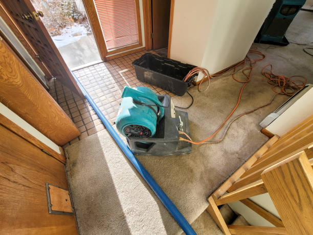 Best Flood damage cleanup  in Babbitt, MN