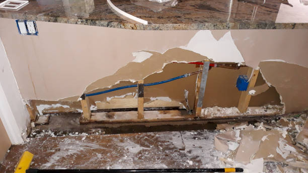 Best Carpet water damage restoration  in Babbitt, MN
